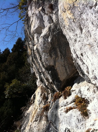 障子岩その1のサムネール画像